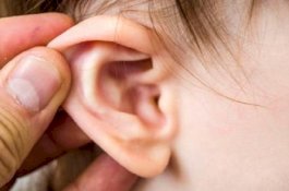 Perempuan Ini Datang ke Kantor Polisi Sambil Bawa Potongan Telinganya