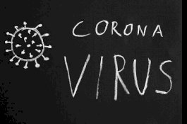 Pemerintah Masukkan Daftar Hitam Warga yang Bohong Soal Virus Corona