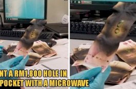 Niat Desinfeksi Uang dari Virus Corona di Microwave, Rp6 Juta Hangus