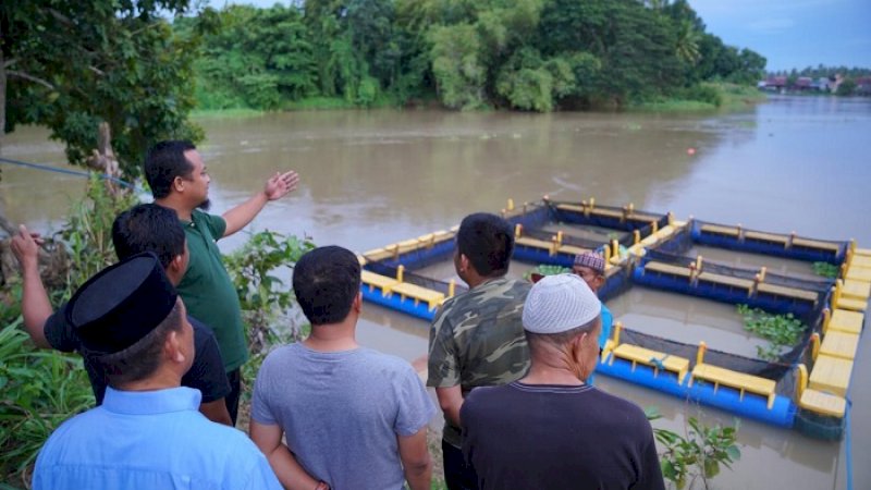 Wagub Sulsel, Andi Sudirman Sulaiman meninjau kerambah jaring apung di Uloe, Bone.