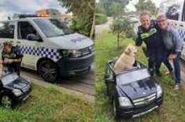 Polisi Tangkap Anjing yang Mengendarai 'Mercedes-Benz'