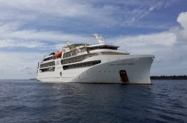 Kapal Pesiar Coral Adventure Batal Masuk ke Bulukumba, Tomy Satria: Ini Demi Kebaikan Kita Semua