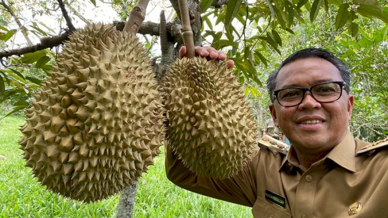 Gubernur Sulsel, Nurdin Abdullah