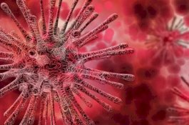 Virus Corona Juga Sudah Masuk di Turki