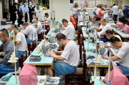 Napi di Taiwan Bergabung Melawan Virus Coronavirus Dengan Membuat Masker