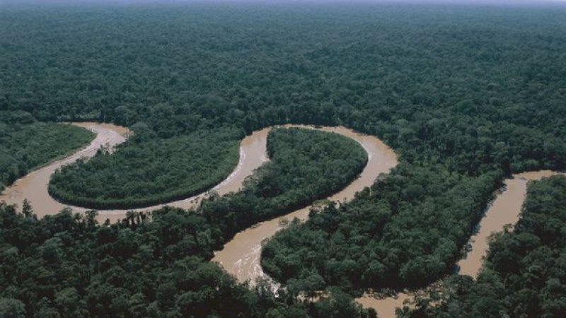 Hutan Amazon Diprediksi Hancur dalam 50 Tahun Kedepan