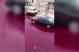 Tiba-tiba Meledak, Tangki Berisi 5.000 Liter Darah Sapi Buat Jalan di Argentina Mengerikan