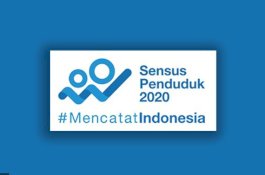 Hanya 7 Persen, Partisipasi Sensus Penduduk Online Kota Makassar Paling Rendah