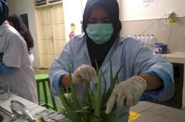 FTI UMI Ciptakan Cairan Sanitizer untuk Cegah Penularan Virus Corona