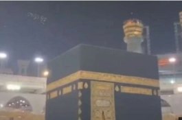 Bikin Heboh Sekelompok Burung Putih Kelilingi Ka'bah