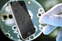 Kuman Ponsel Tiga Kali Lebih Kotor dari Toilet, Begini Cara Membersihkannya