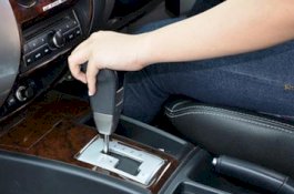 Wanita yang Bawa Kabur Mobil Orang Mengaku Beyonce saat Ditangkap, Begini Reaksi Polisi