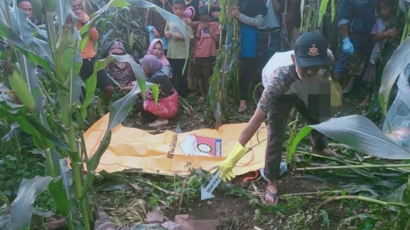 Lokasi penemuan mayat di Jeneponto.