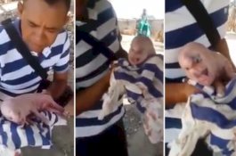 Babi Ini Terlahir dengan 'Wajah dan Rambut Manusia'