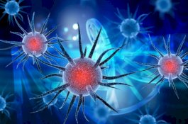 Selain Corona, Ini 5 Pandemi Paling Parah yang Pernah Terjadi di Dunia