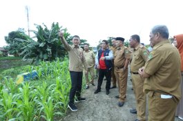 Kepala DPPKB Palopo Pantau Kampung KB