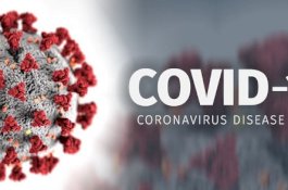 Update Covid-19: Jumlah Kasus Jadi 309 Orang, 2 dari Sulawesi Selatan