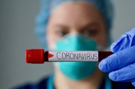 Lebih Lama dari SARS! Corona Bisa Hidup 4 Hari di Kayu, 5 Hari di Logam dan Plastik