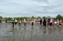 Wagub Sulsel Batal Hadiri MES Go Green, Penanaman 50 Ribu Pohon Libatkan Warga