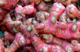 Cetak Rekor, Jahe Merah di Parepare Setara Harga Daging Sapi