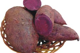 Ubi Ungu Bisa Tangkal Virus Corona, Ternyata Begini Kandungannya