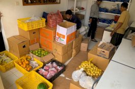 Pemerintah Berlakukan WFH akibat Covid 19, Produk Pertanian Laku Keras