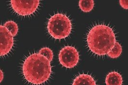 Vitamin C Bisa Sembuhkan Virus Corona, Hoaks atau Fakta?