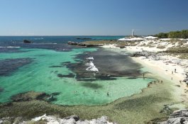 Pulau yang Dihuni Hewan Paling Bahagia di Bumi Akan Jadi Zona Karantina Covid-19