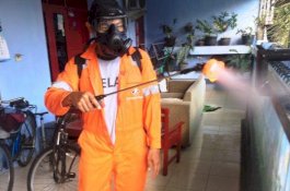 Bakal Calon Kepala Daerah 