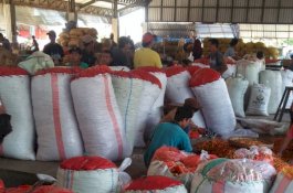 Di Tengah Pandemi Covid-19, Kementan Jaga Produksi Pangan