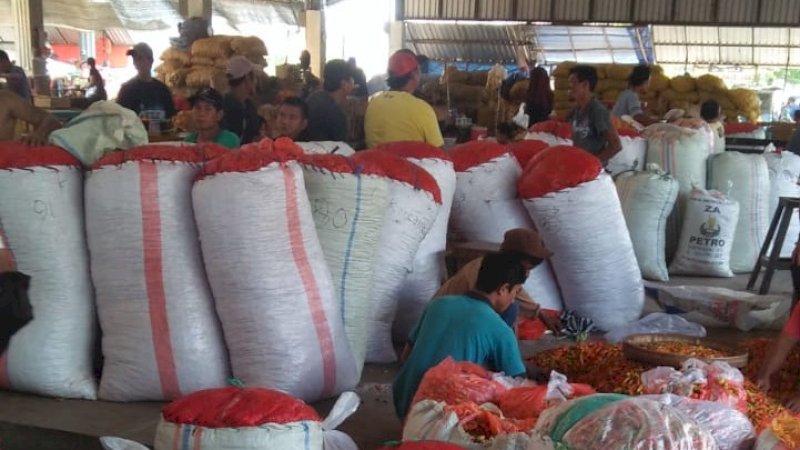 Di Tengah Pandemi Covid-19, Kementan Jaga Produksi Pangan