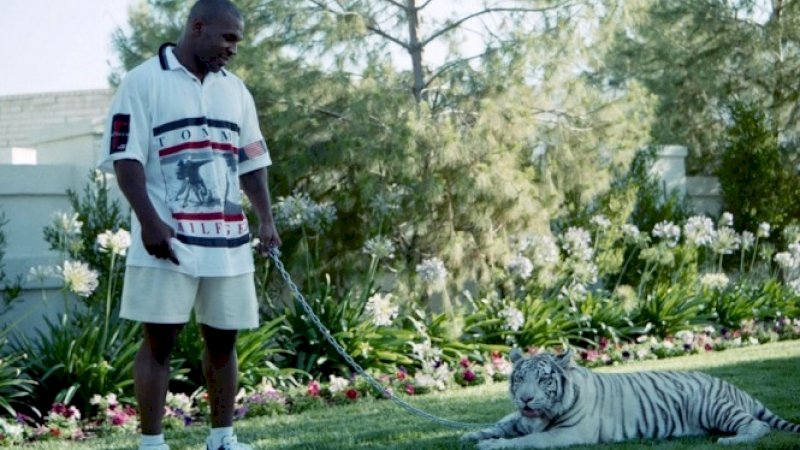 Mike Tyson dan macan peliharaannya.