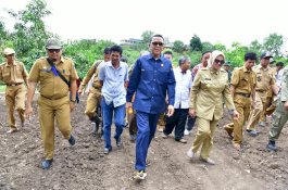 Pemprov Sulsel Gagas Dua Varietas Baru Jagung untuk Pasar Internasional