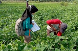 Pandemi Covid-19, Optimalisasi Kaji Terap Tetap Jalan