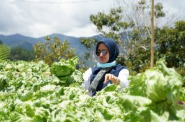 Pandemi Covid-19, IDP Jamin Stok Pangan Tetap Aman di Kecamatan Terpencil
