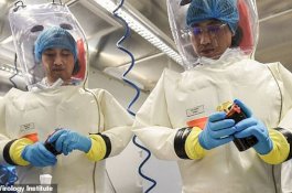 Benarkah Virus Corona Bocor dari Laboratorium Penelitian di Wuhan? Ini Fakta-faktanya