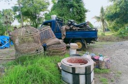 Polisi Gerebek Judi Sabung Ayam di Jeneponto, Dua Pelaku Diamankan