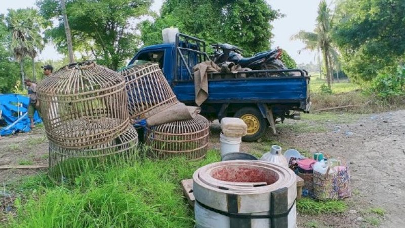 Arena sabung ayam di Maero, Jeneponto.