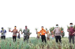 Bupati Bantaeng Pastikan Covid-19 Tak Ganggu Produksi Pertanian