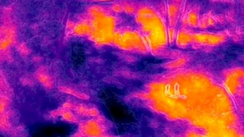 Hasil identifikasi drone Covid-19 di Italia.