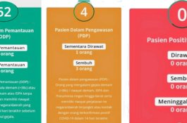 Satu Lagi PDP Covid-19 di Wajo Dinyatakan Sembuh