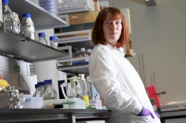 Profesor Perempuan Ini Temukan Vaksin Corona, tapi Baru Bisa Digunakan Paling Cepat September