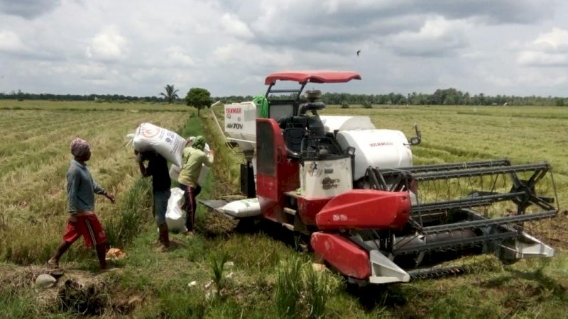 NAIK. Produksi petani di Banyuasin naik signifikan. (foto/kementan ri)
