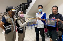 Tetap Siaga di Tengah Covid-19, Karantina Pertanian Gagalkan Penyelundupan di Sejumlah Daerah