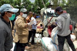 Di Tengah Covid 19, Petani Kabupaten Wajo Panen Raya dan Langsung Tanam