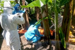 Pemudik Asal Balikpapan Tewas Tergeletak Dekat Pohon Pisang di Wajo