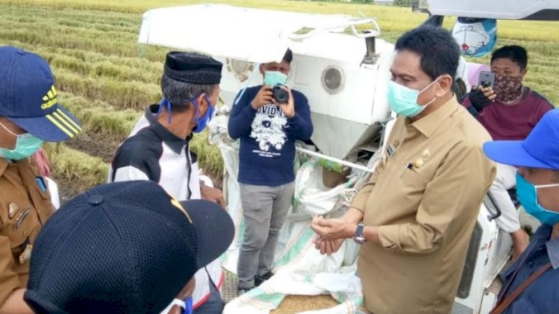Bupati Barru, Suardi Saleh menghadiri panen raya padi, Selasa (14/4/2020).