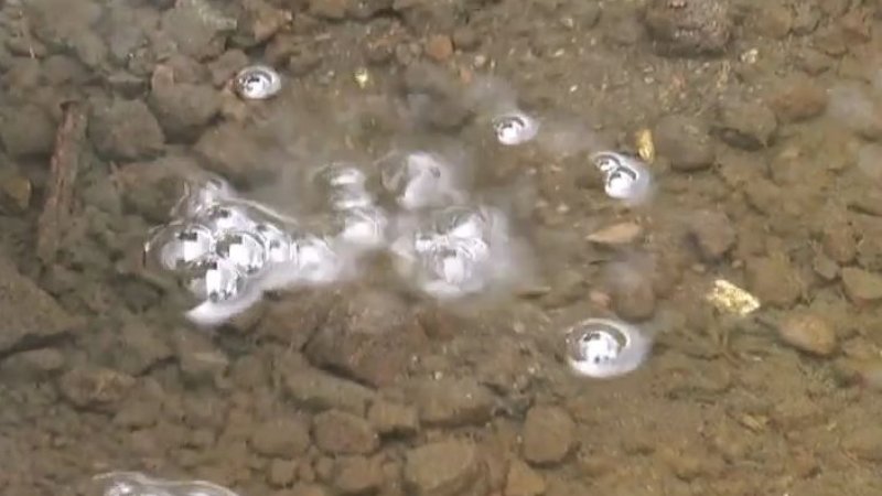 Aneh, Gelembung Gas Muncul dari Dasar Sungai di Magelang