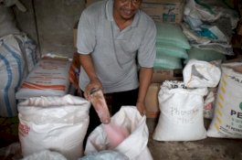 Kebijakan PSBB Tak Hambat Penyaluran Pupuk Bersubsidi