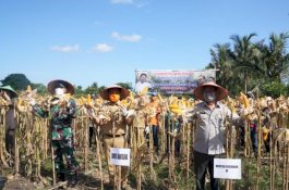 Panen Jagung Hibrida di Bantaeng, Mentan SYL Sekaligus Serahkan Bantuan APD